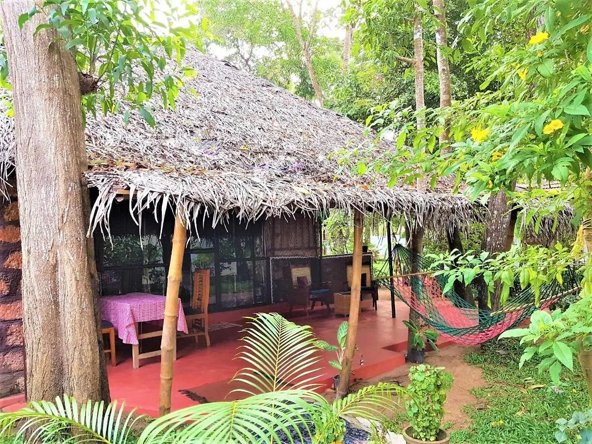 Guest house Marari Dreamz Homestay Mararikulam