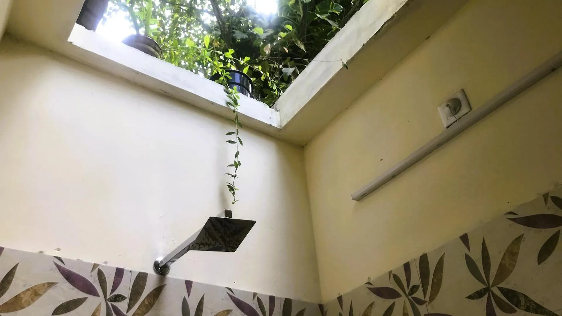 Marari Dreamz Homestay Mararikulam