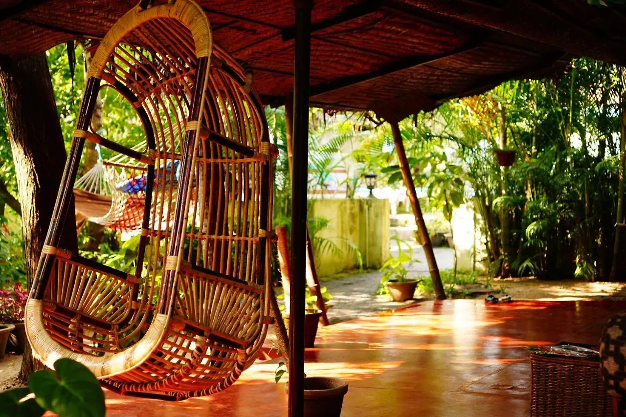 Guest house Marari Dreamz Homestay Mararikulam