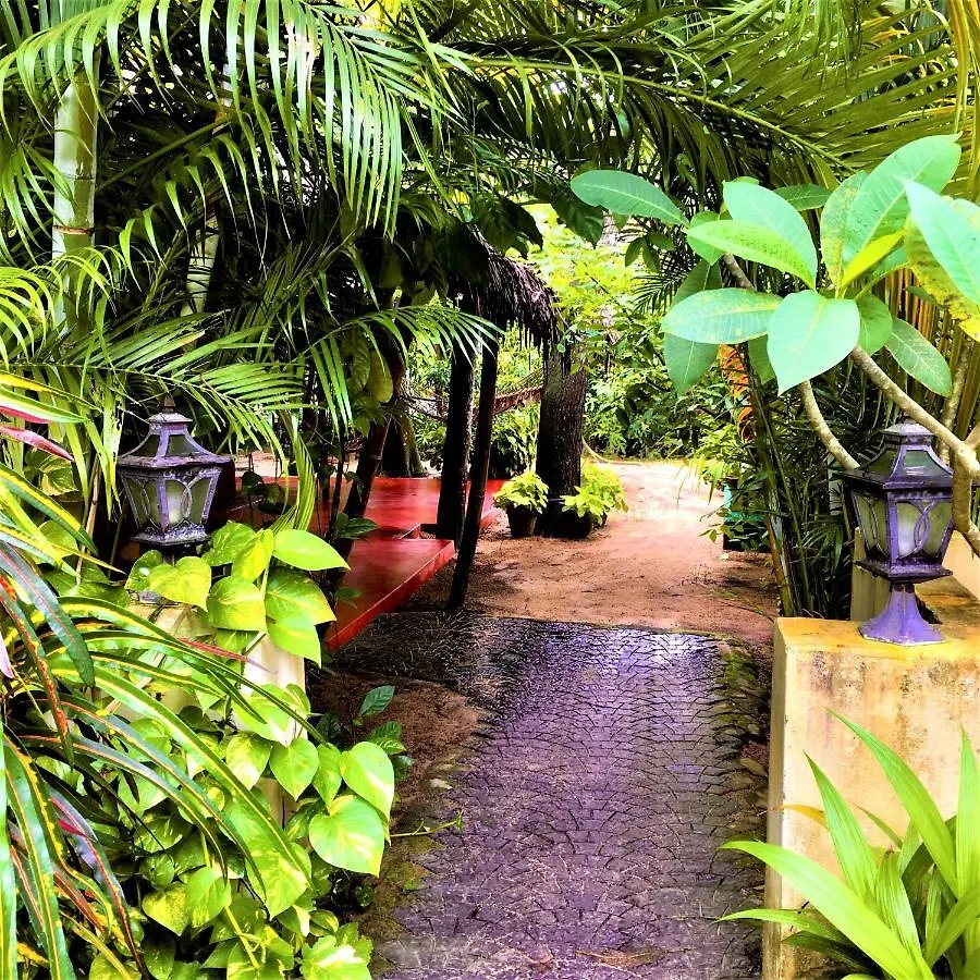 Guest house Marari Dreamz Homestay Mararikulam